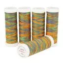 Nici do szycia Viga 80 9049 multicolor tęczowy 150m